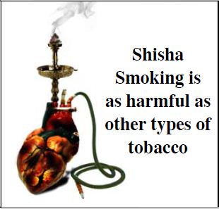 GSO 2012 Health Effects Other - shisha health risk, gross (English)